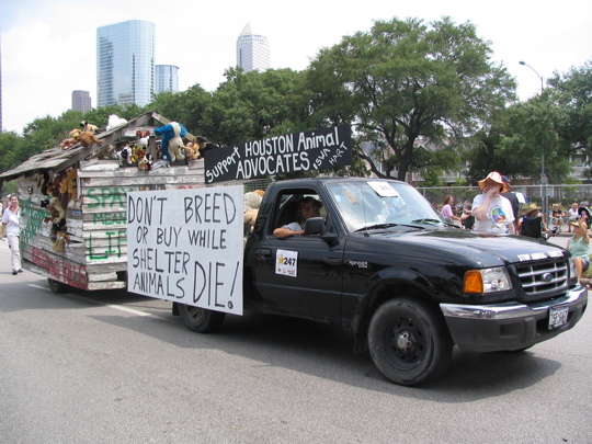 247.animalRights
