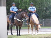 mountedPolice